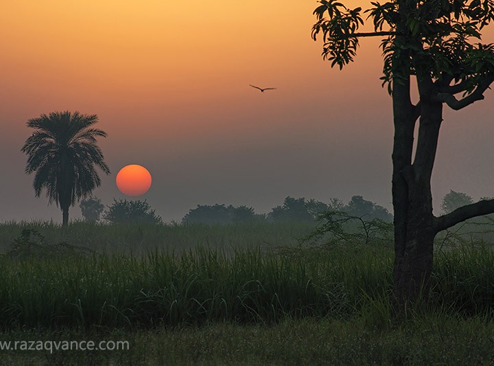 landscape Photography Of A Stunning Sunrise In A Misty Morning