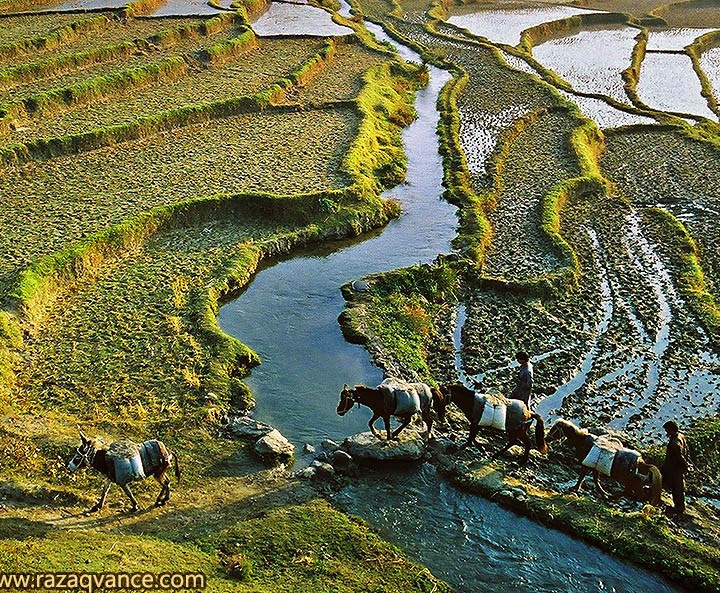 Awesome Landscape Beauty Of Battagram Valley Pakistan