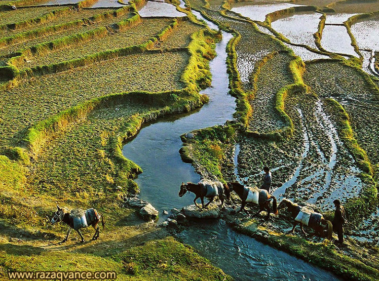 Razaq Vance Art Photography » Best website for documentary, people ...