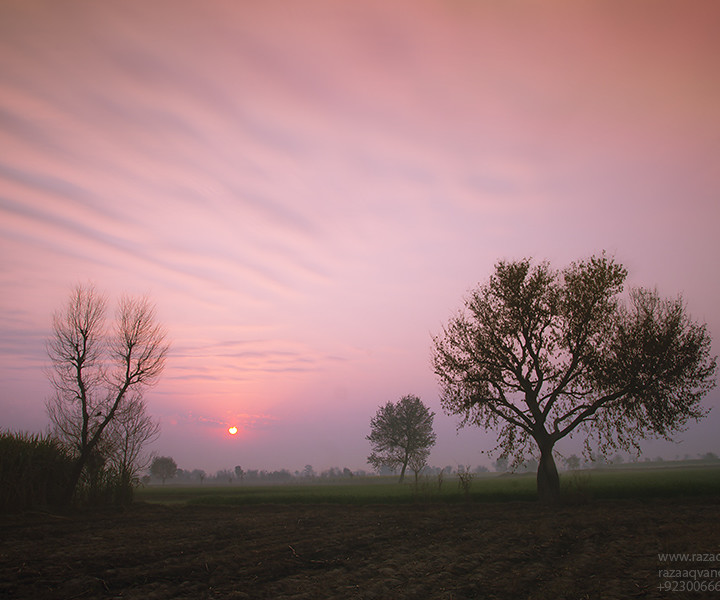 Incredible Beauty Of Winter Morning In A Rural Landscape