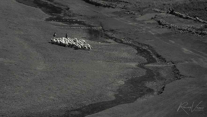 shepherds of Naran valley PAkistan